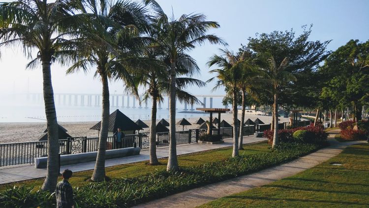 Ошибки и страхи во время путешествий и эмиграции