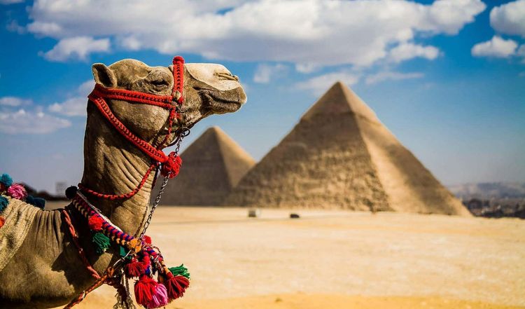 В Египте до конца года заработают карты «Мир»