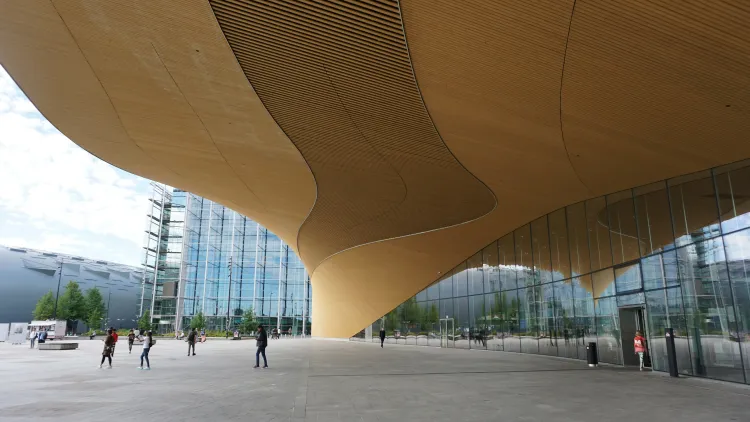 Финляндия планирует аннулировать сотни студенческих ВНЖ